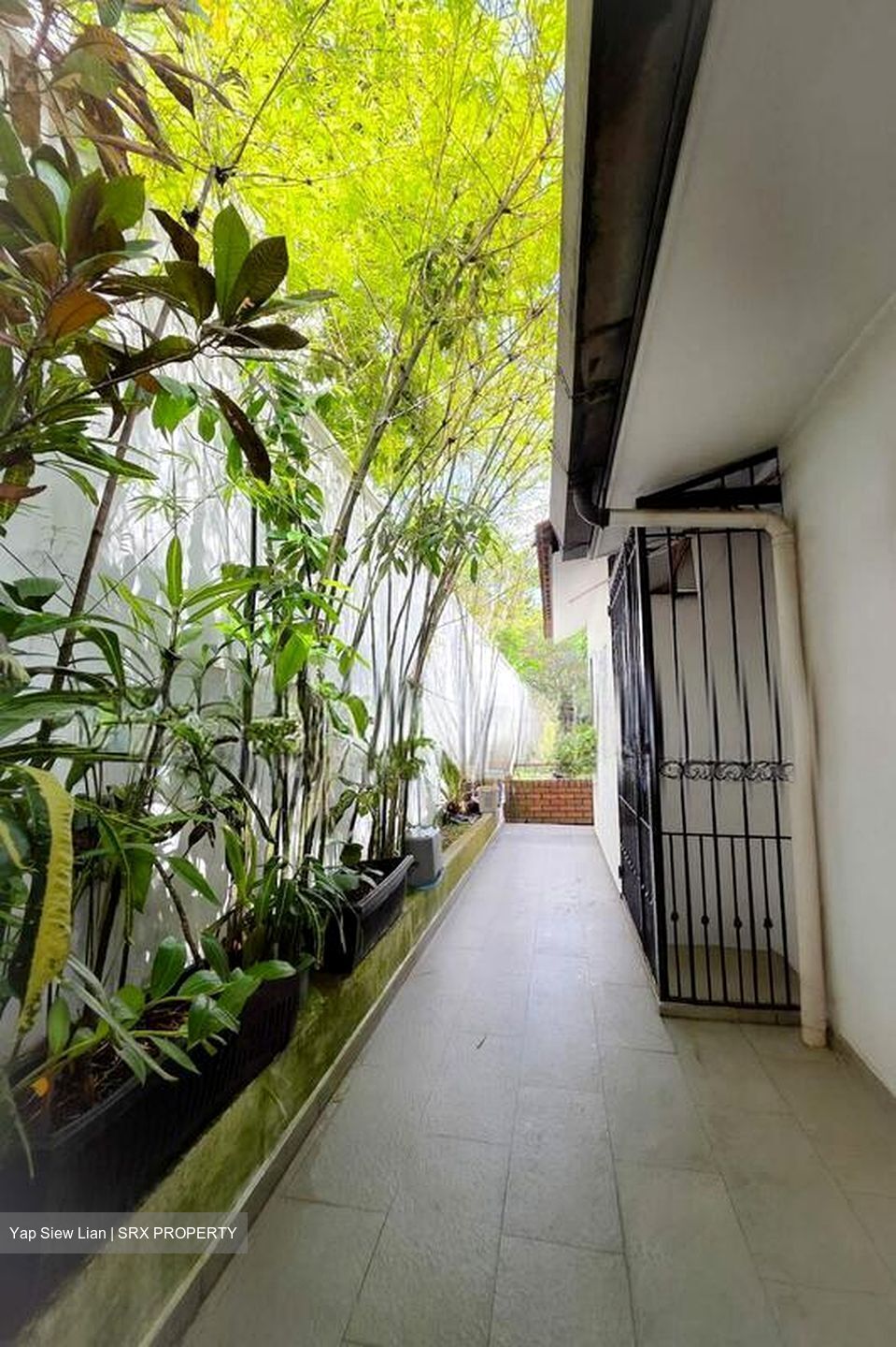 Compassvale Crescent (D19), Semi-Detached #508095451